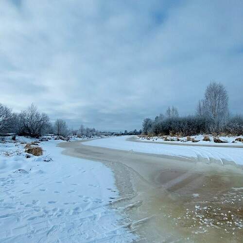 Photo #11976611