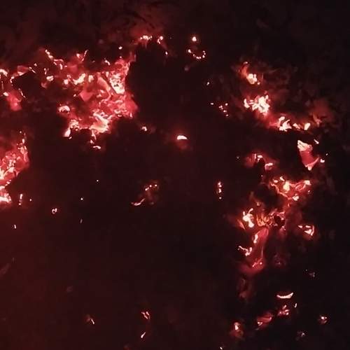 Photo #11976725