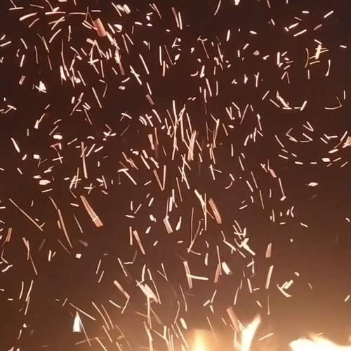 Photo #11976731