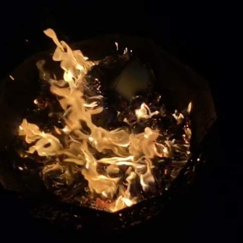 Photo #11976735