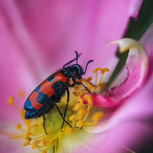 Photo #11976770