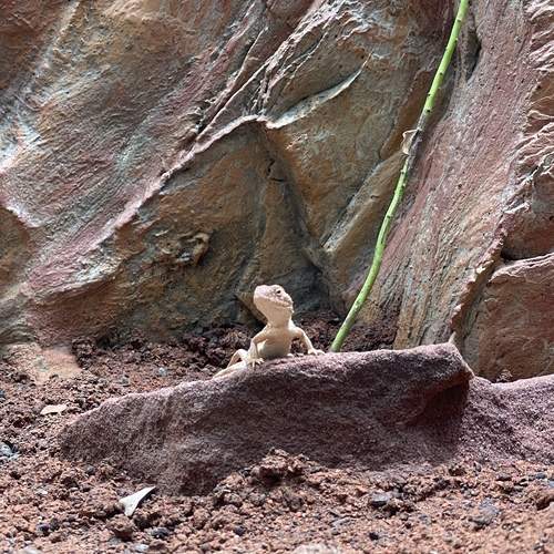 Photo #11976793