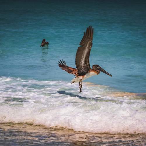 Photo #11976910