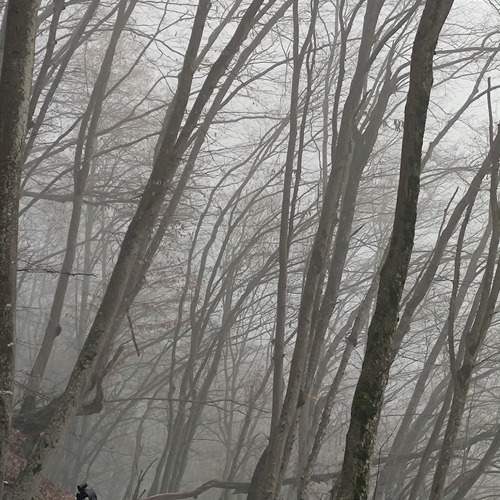 Photo #11977005