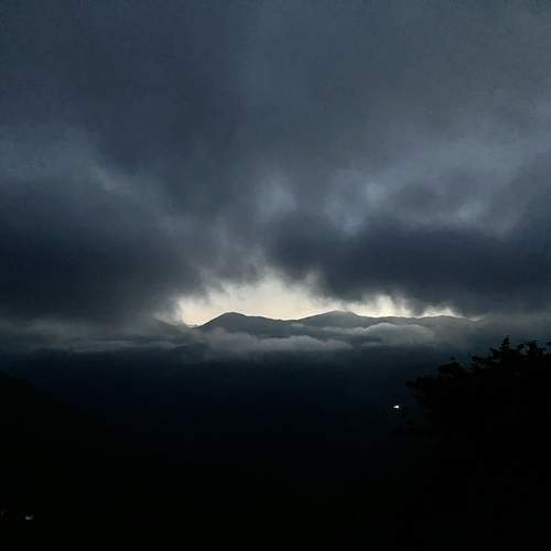 Photo #11977258