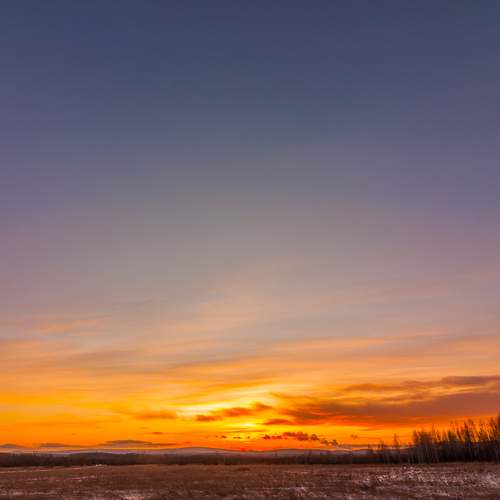 Photo #11977380