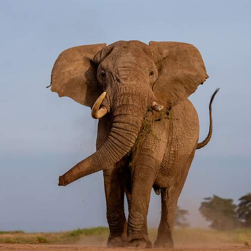 Photo #11977463