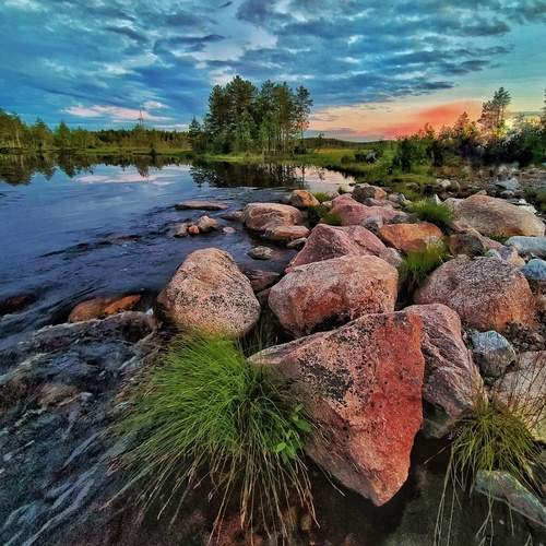 Photo #11977467