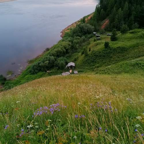 Photo #11977518