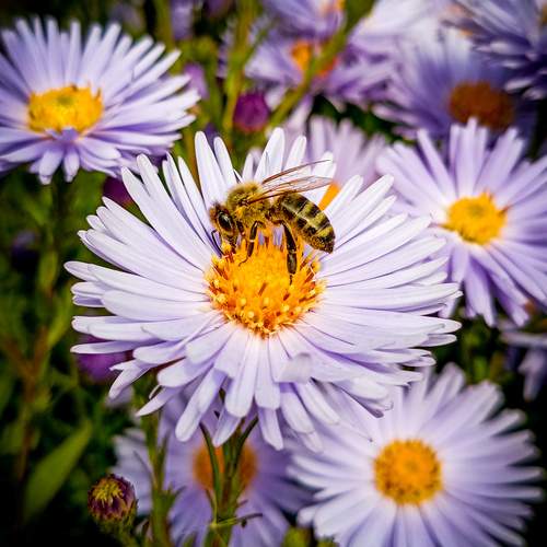 Photo #11977582