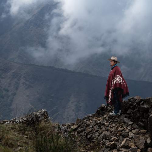 Photo #11977673