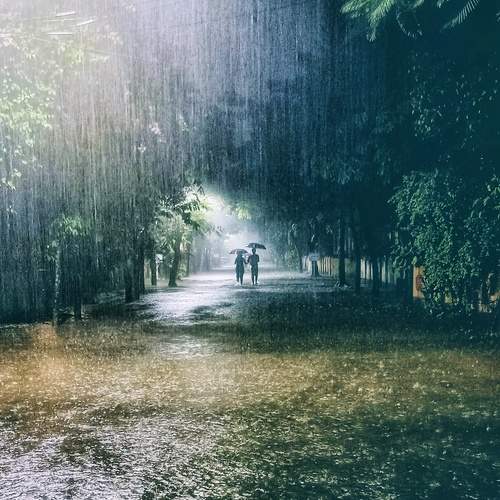 Rain-dition