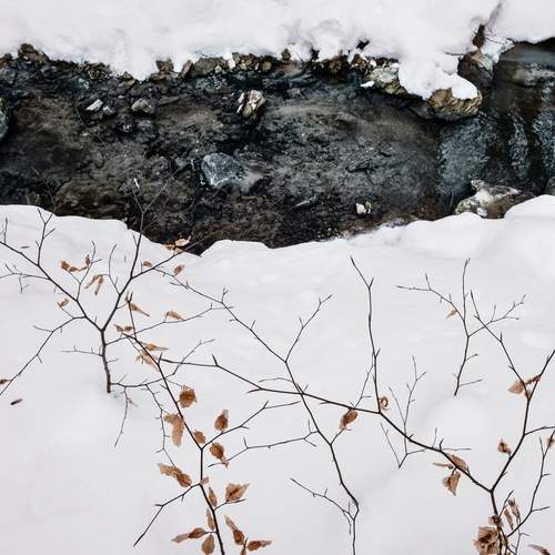 Photo #11977948
