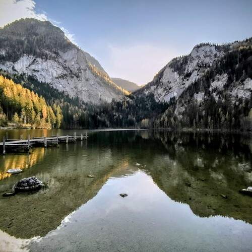 Photo #11978019
