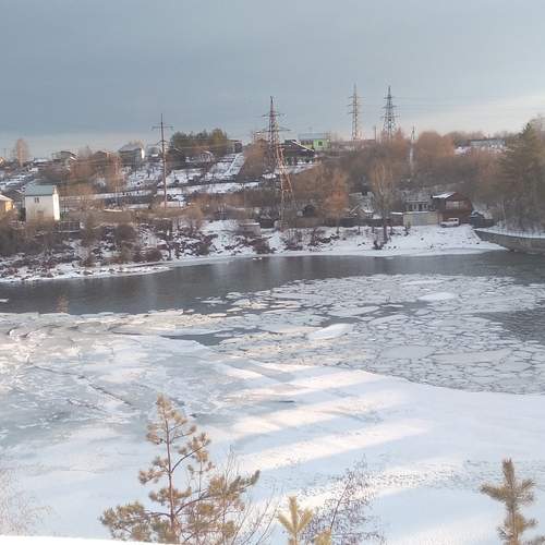 Photo #11978050