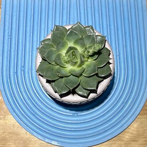 Photo #11978139