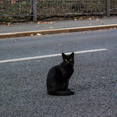 Photo #11978142