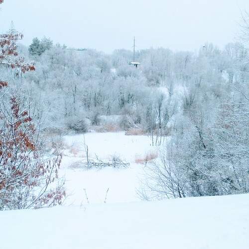 Photo #11978144