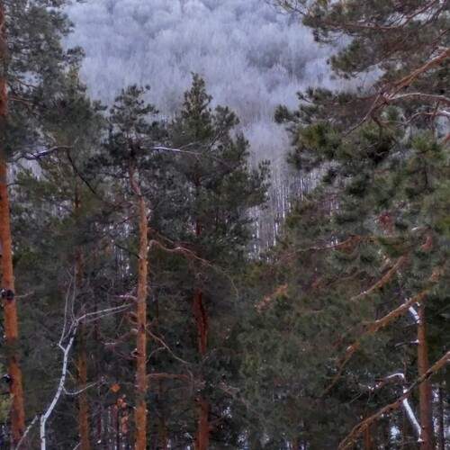 Photo #11978160