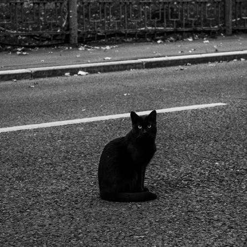 Photo #11978227