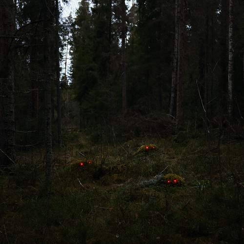 Фотография #11978325