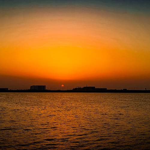 Photo #11978380