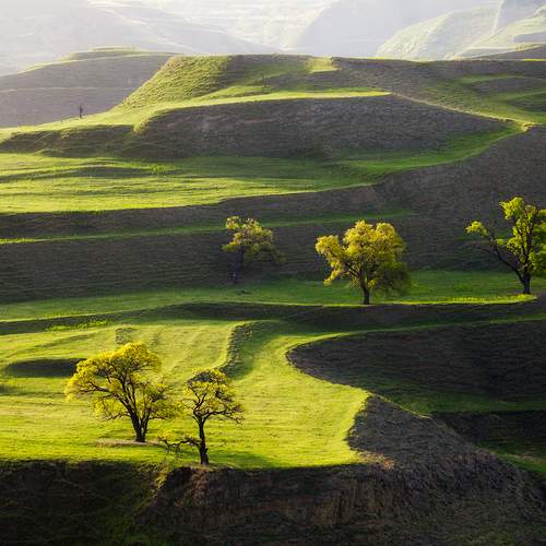 Фотография #11978431