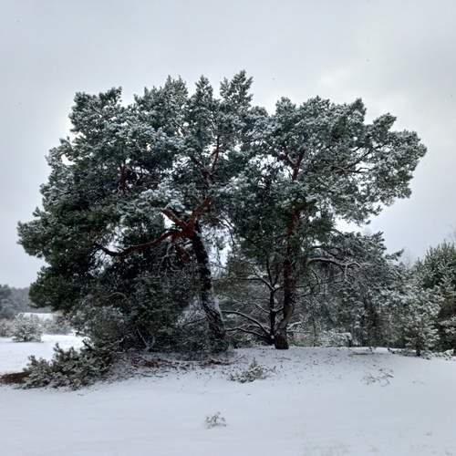 Photo #11978496