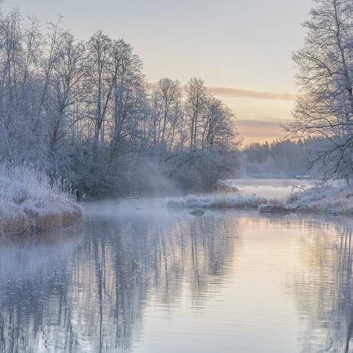 Фотография #11978499