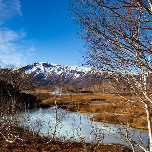 Photo #11978523