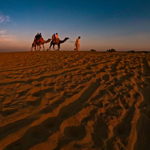 Photo #11978672