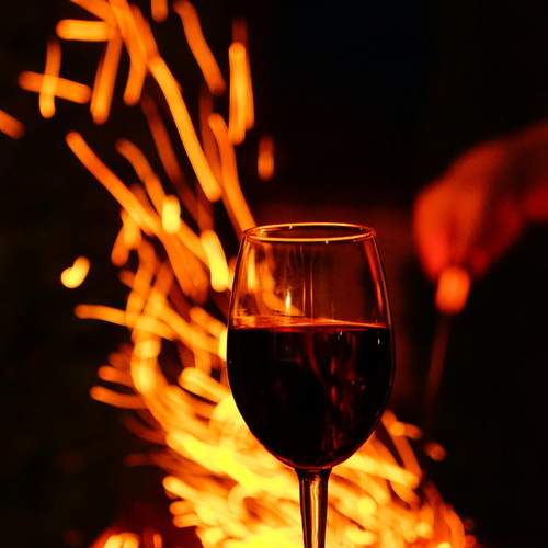 Photo #11978705