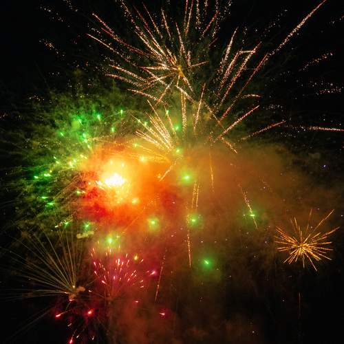 Photo #11978725