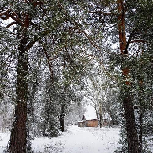 Photo #11979110