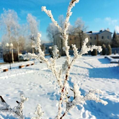 Photo #11979275