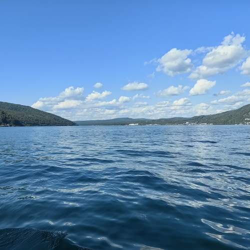 Photo #11979281