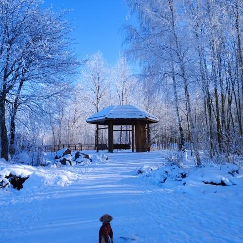 Photo #11979439