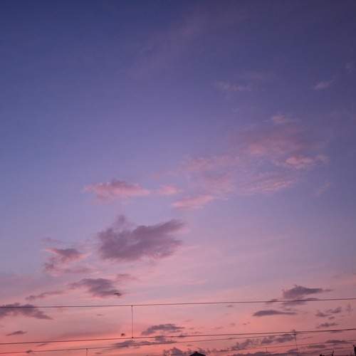 Photo #11979513
