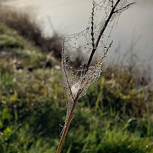 Photo #11979524