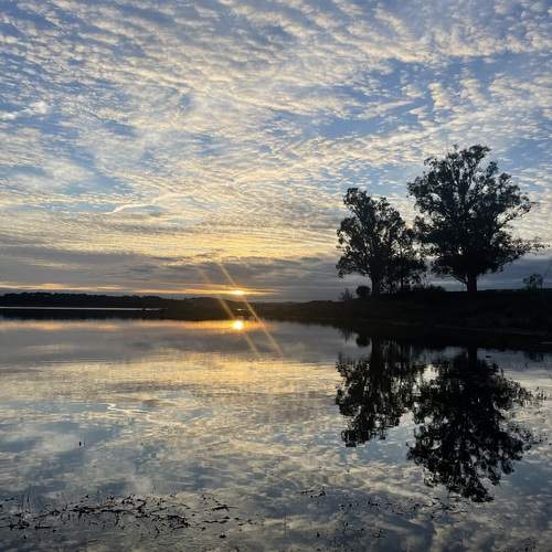 Photo #11979686