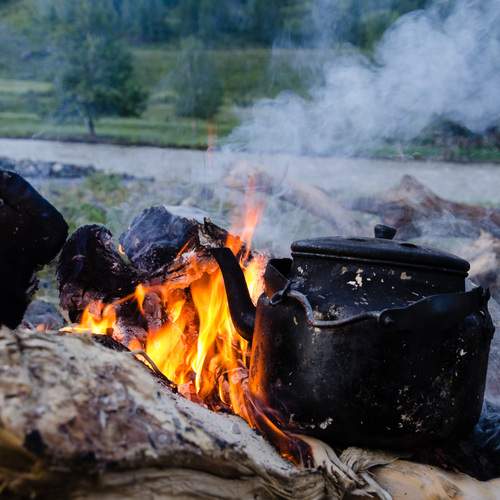 Photo #11979914