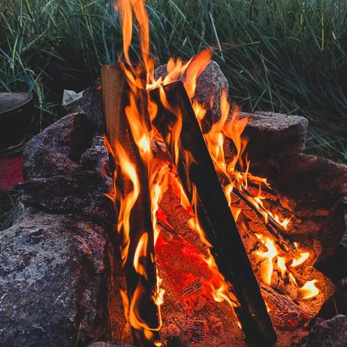 Photo #11979945