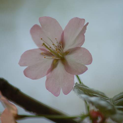 Photo #11979997