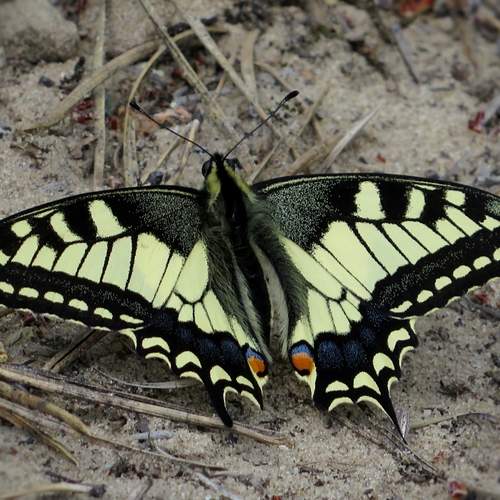 Photo #11980141