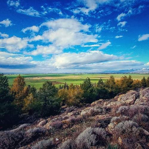 Photo #11980313
