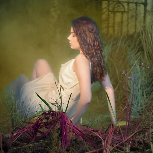 Photo #11980648