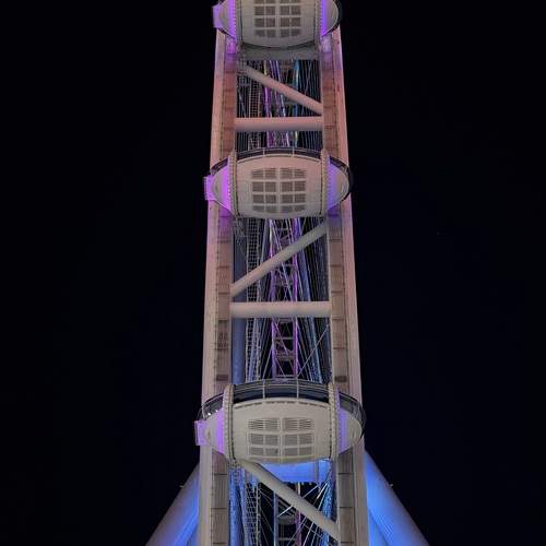 Photo #11980744