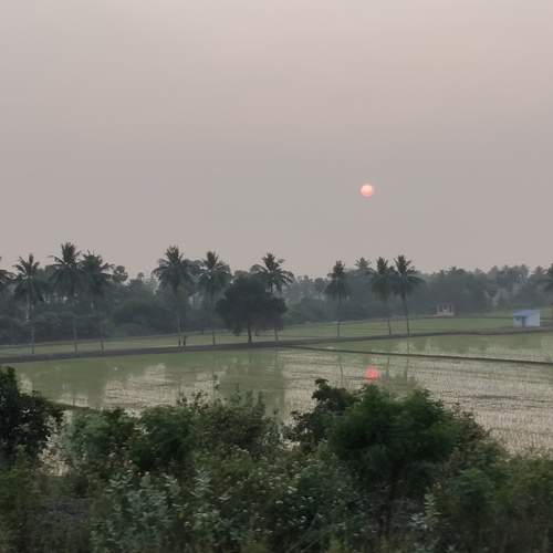 Photo #11980881