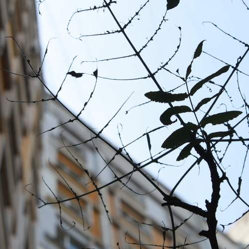 Photo #11981081