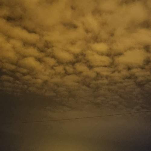 Photo #11981293